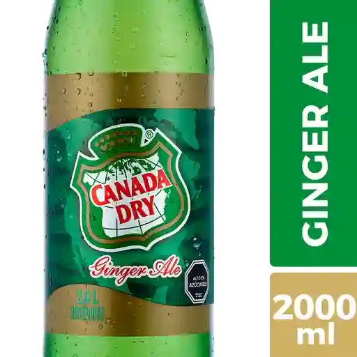 Canada Dry Bebida Ginger Ale