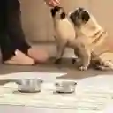 Plato Para Mascotas de Acero Inoxidable 822 mL Casaideas