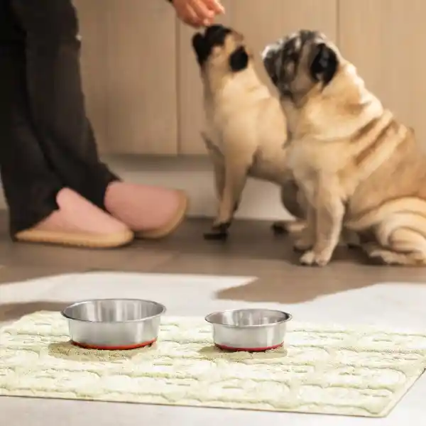 Plato Para Mascotas de Acero Inoxidable 822 mL Casaideas