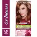 Garnier Coloración 6.46 Rojo Cobrizo