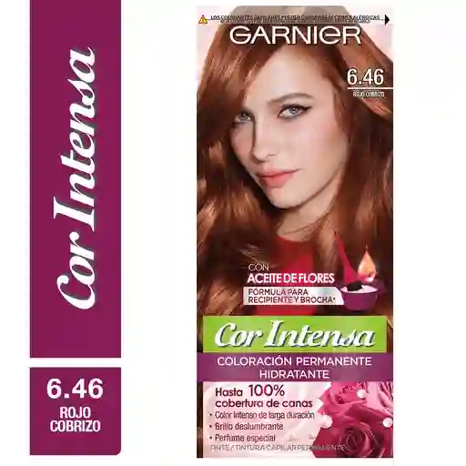 Garnier Coloración 6.46 Rojo Cobrizo