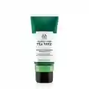 Tea Tree The Body Shop Exfoliante Facial