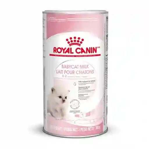 Royal Canin Alimento Leche Baby Cat