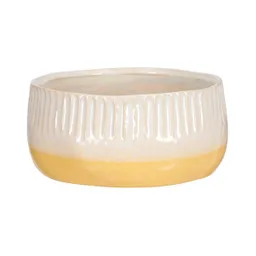 Maceta de Cerámica Con Textura 19.8 x 8.7 cm Casaideas