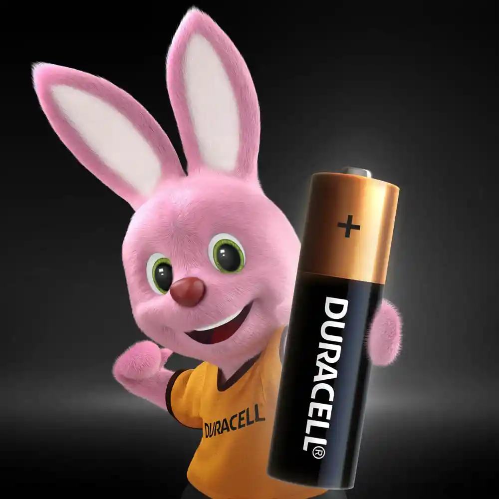 Duracell Pila Aa
