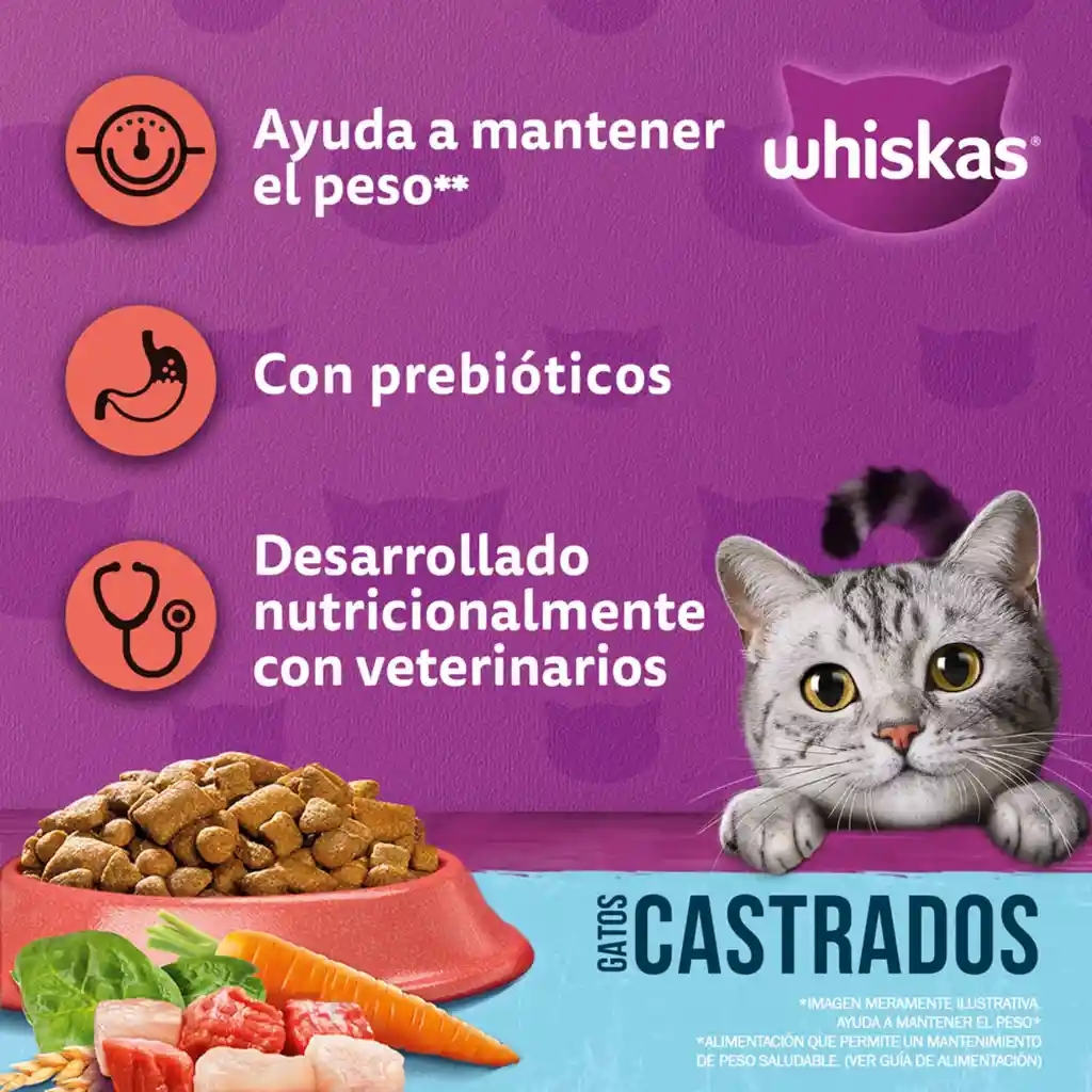 Whiskas Alimento Para Gato Castrados 
