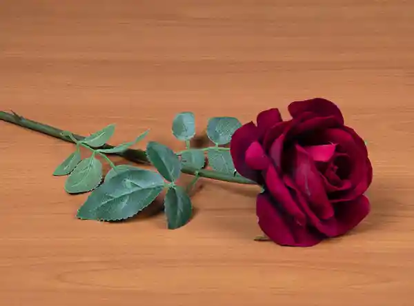 Ripley Home Planta Decorativa Ess Fyp Granel ab Rosa Rojo