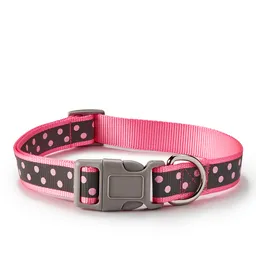 Aspen Pet Collar Para Gato Reflectivo Fucsia