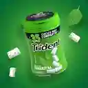 Trident Chicle Sin Azúcar Botella Sabor Yerbabuena