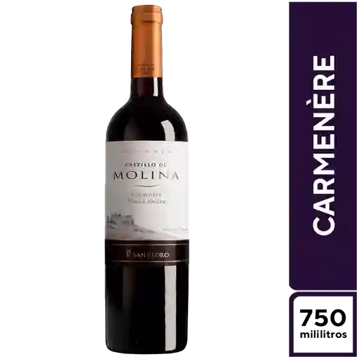 Castillo de Molina Carmenere 750 ml