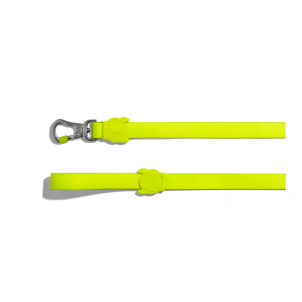 Correa Zee Dog Neopro Green Mediana