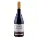 Errazuriz Vino Tinto Pinot Noir Max Reserva