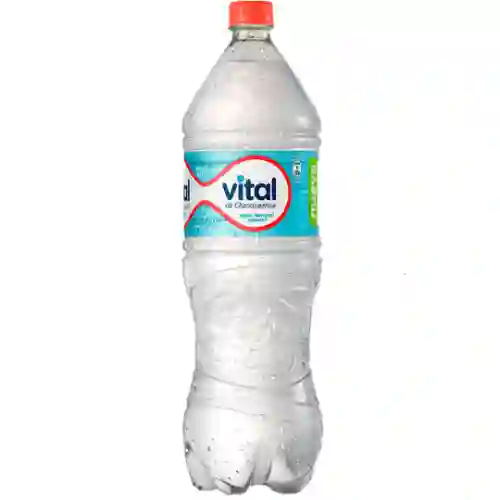 Agua Sin Gas Vital 600 ml