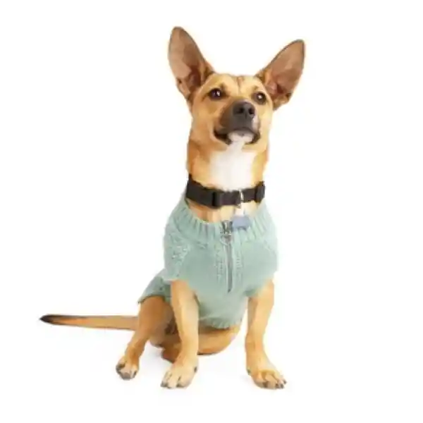 Youly Suéter Color Gris Modelo Fuzz Para Perro Grande