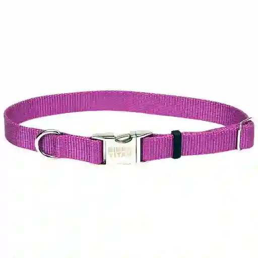 Coastal Sublime Collar Purple XS