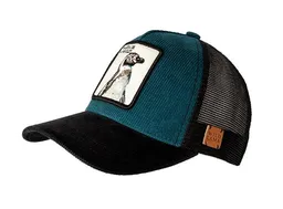 Wild Lama 2 Gorra Jockey 2020 Anim Pinguin Corde