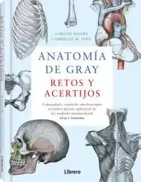 Anatomia de Gray. Retos y Acertijos