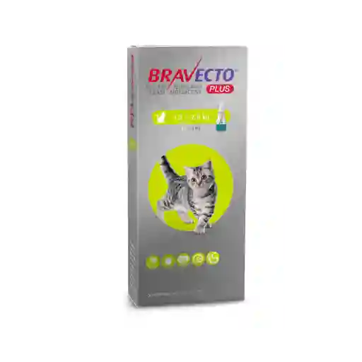 Bravecto Antiparasitario Interno y Externo Gatos Plus 1.2-2.8 Kg