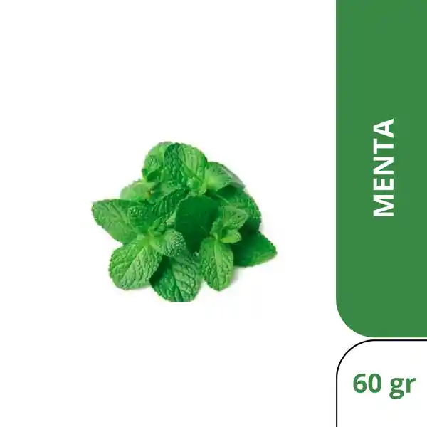 Menta