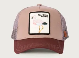 Wild Lama 2 Gorra Jockey Flamenco Lila