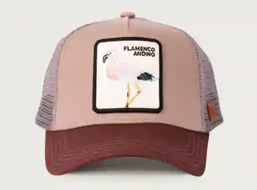 Wild Lama 2 Gorra Jockey Flamenco Lila