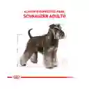 Royal Canin Alimento Para Perro Adulto Miniature Schnauzer Adult