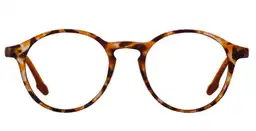 Anteojo W.A.R Sea A2 Tortoise S.P. 2.0