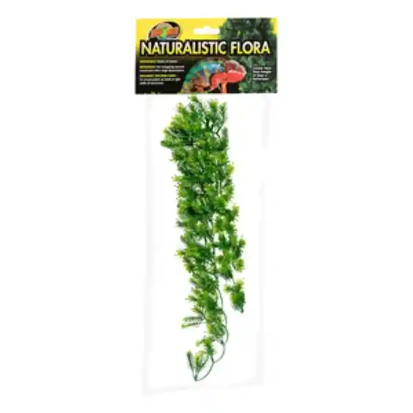 Zoo Med Planta Estrella de Borneo de Decoración Terrario 0.11 Kg