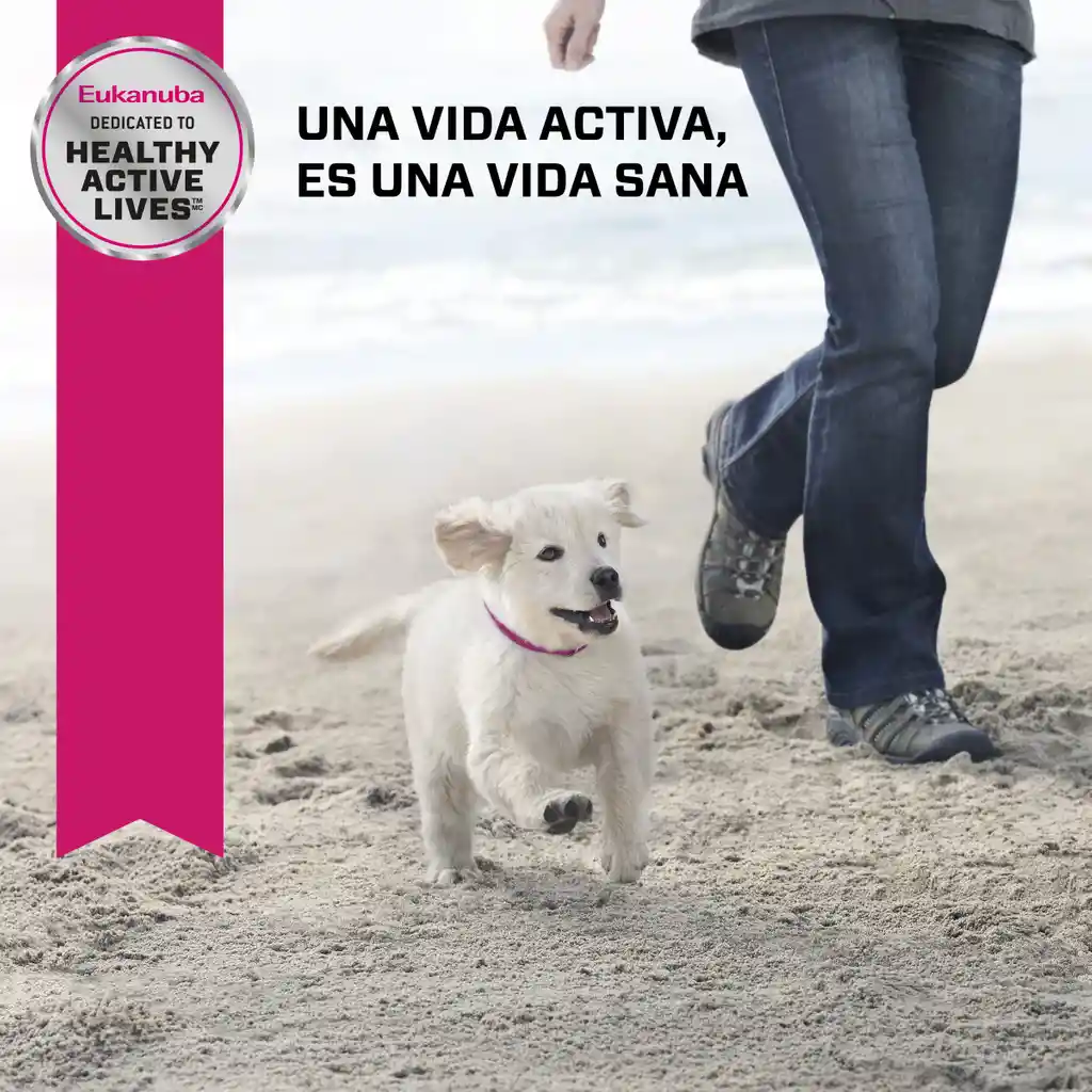 Eukanuba Alimento Para Perro Puppy Medium