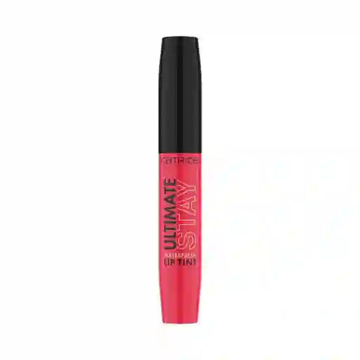 Catrice Labial Tinte Ultimate Stay Waterfresh Loyal to Your Lips