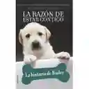 La Razón de Estar Contigo la Historia de Bailey