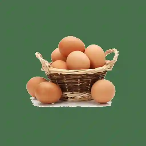 Ecoterra Huevo Gallina Libre Pastoreo L