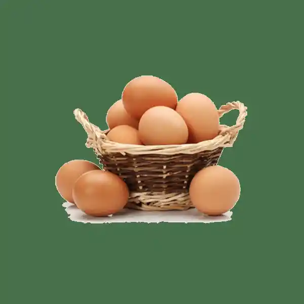 Ecoterra Huevo Gallina Libre Pastoreo L