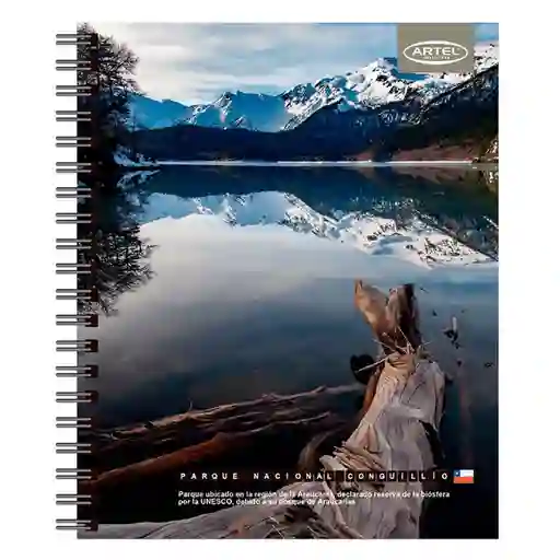 Artel Cuaderno Universitario Paisajes de Chile Surtido