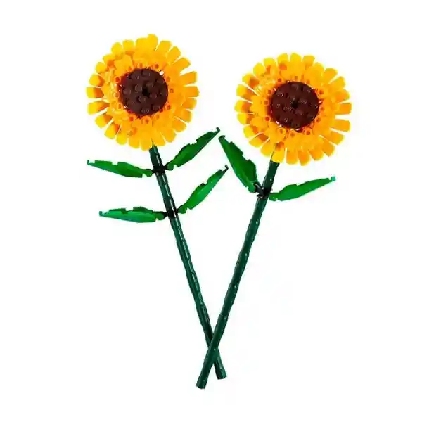 Girasol
