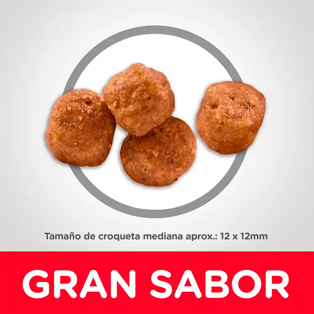 Hill's Alimento para Perro Canine Mature Active