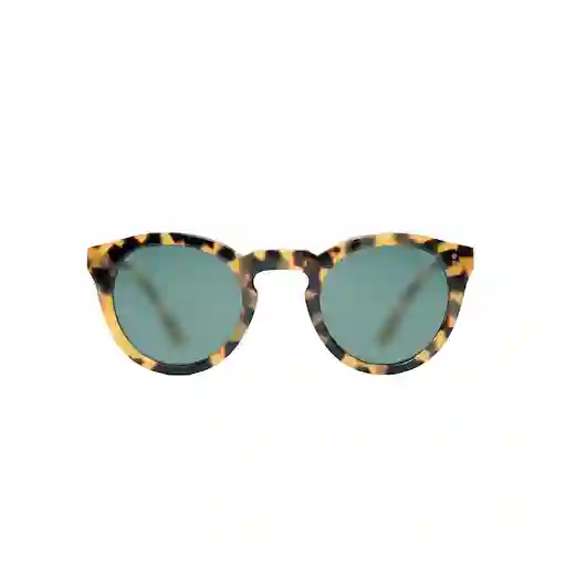 Lentes de Sol Akira Cheetah Green Inztinto