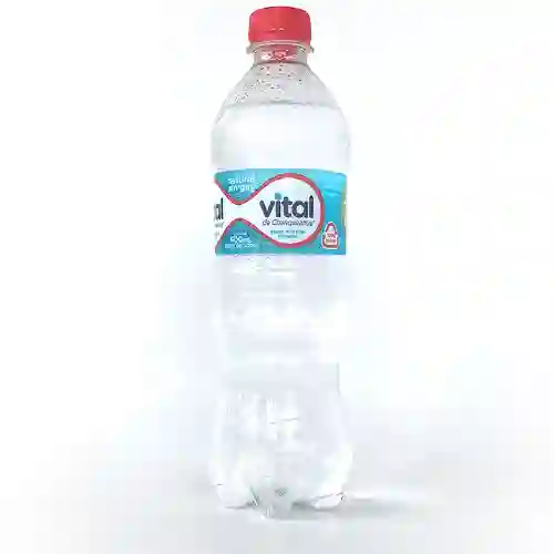 Agua Sin Gas Vital 500 ml