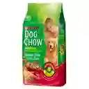 Dog Chow Alimento Perro Adultt Razz Mediana/Grande