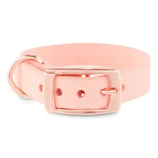 Bond & Co Collar Rosa de Cuero Sintético Con Hebilla Metálica