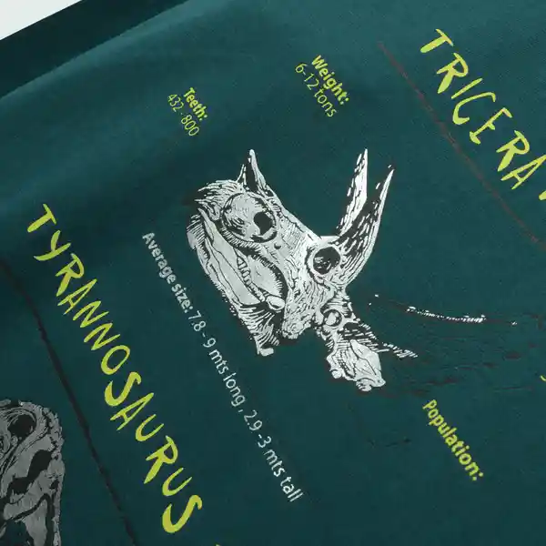 Polera Dinosaurios de Niño Verde Pasto / Grass Talla 12A Colloky