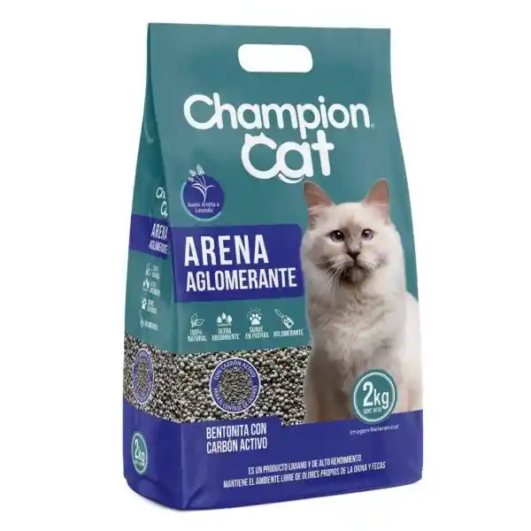 Champion Arena Sanit Aglomerante Cat