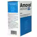 Amoval Amoxicilina 500 Mg Polvo para Suspensión Oral