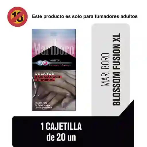 Malboro Cigarrillo Vista Blossom Fusion XL Box