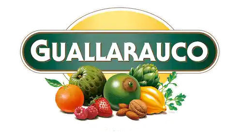 Guallarauco Limonada-Frambuesa 1 Lt