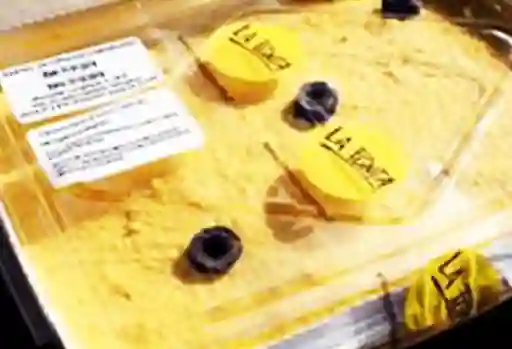 Pastel de Choclo - 1,2kg Congelado