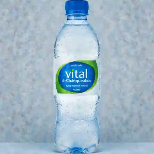 Vital Con Gas 600 ml