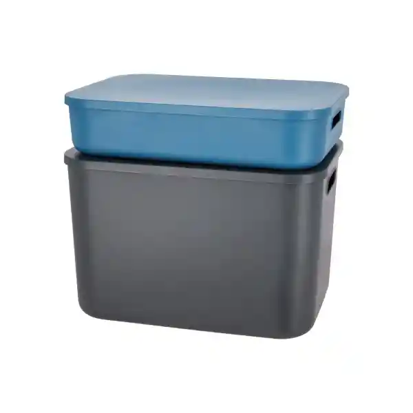 Caja Plástica Con Tapa 20 L 3226101000030