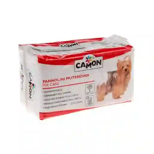 Camon Pañal Desechable Small