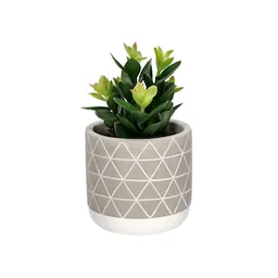 Maceta Terracota Cactus 15. 21 cm
